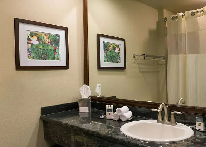 Doubletree By Hilton Phoenix-gilbert 4* Gilbert